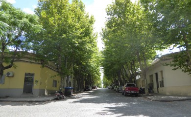 20250523-main